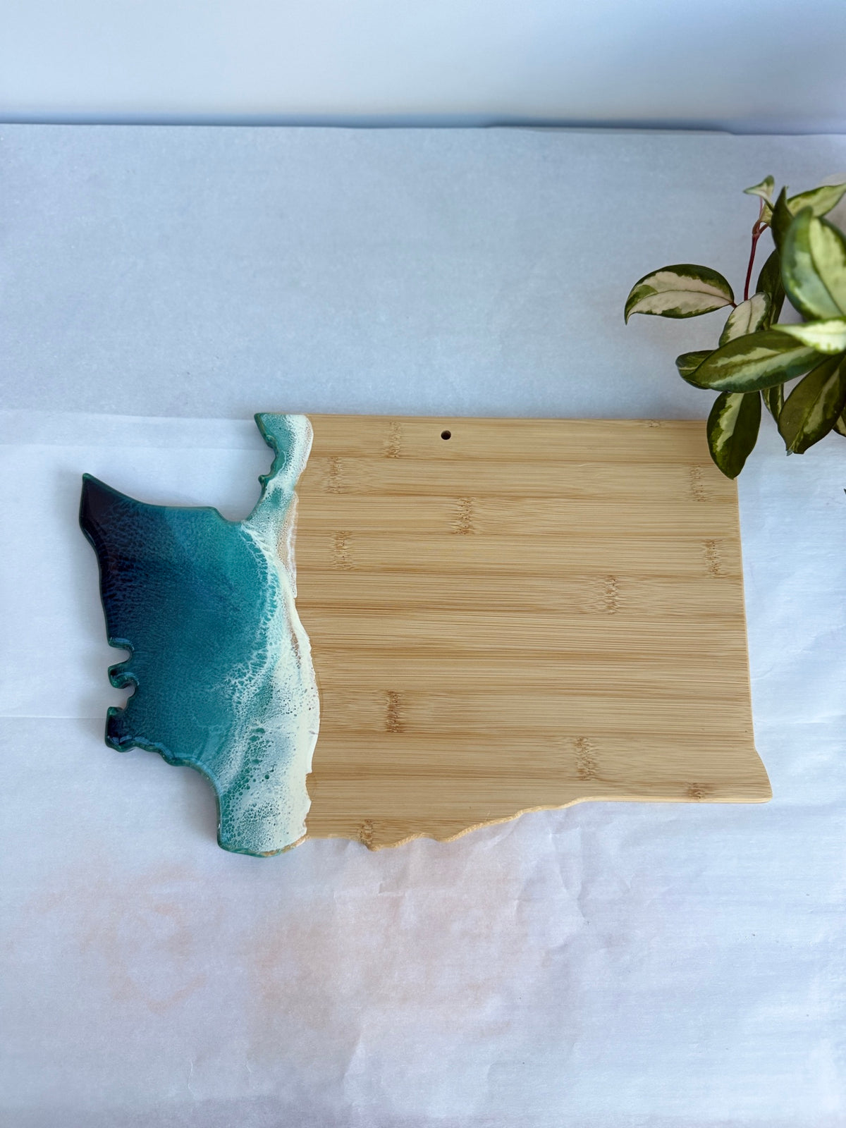 Washington Coast State Ocean Resin Board
