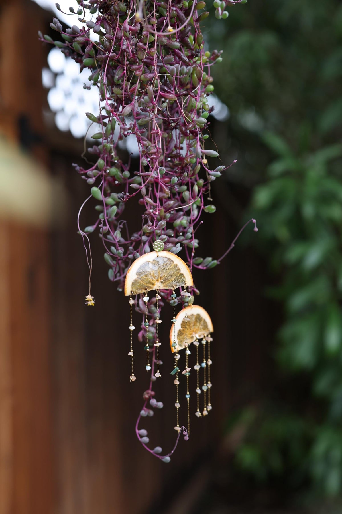 real fruits dried and pressed earrings with real semi precious chunky stone dangles