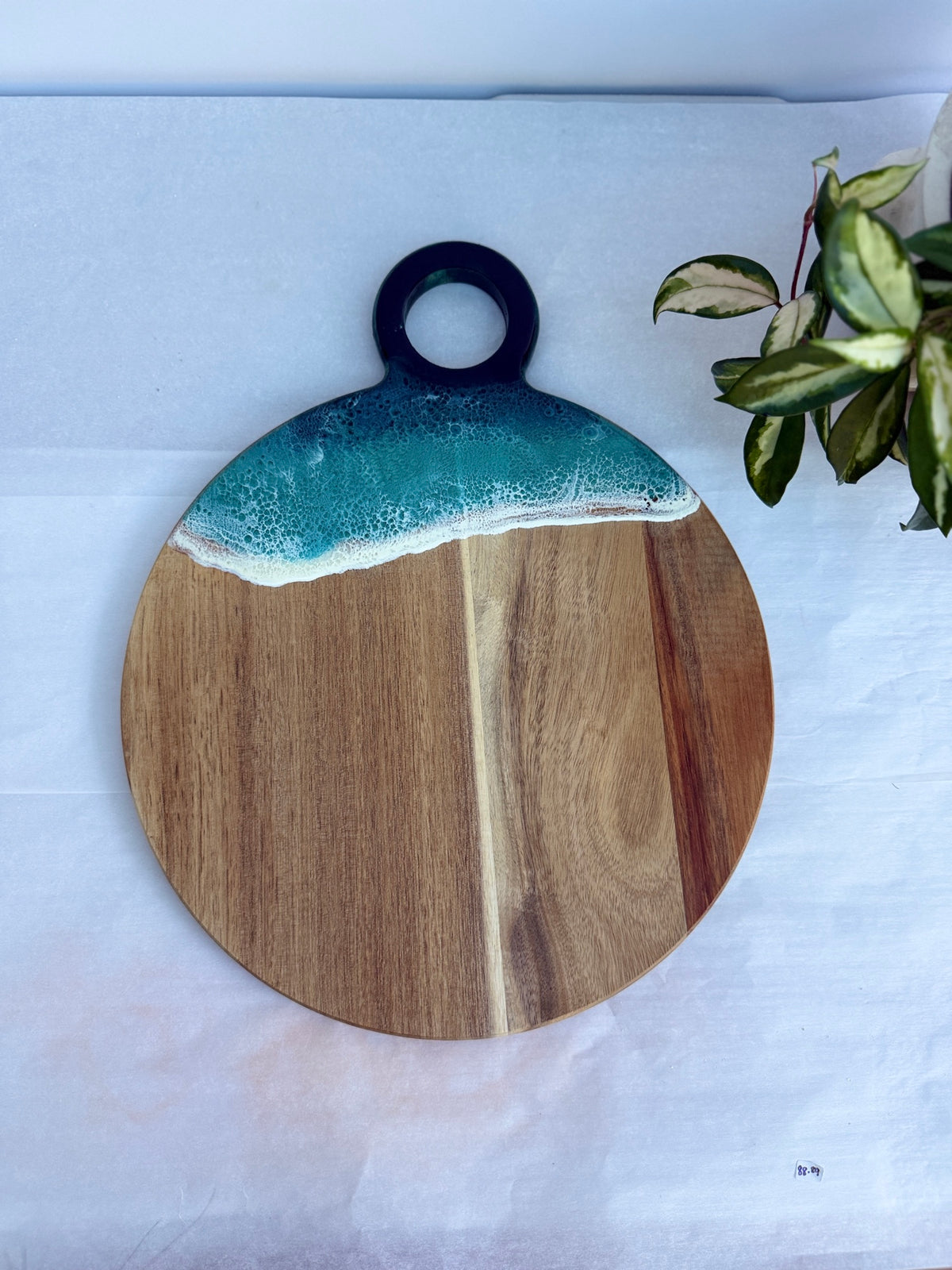 13 Inch Wide Handle Ocean Resin Paddle Board